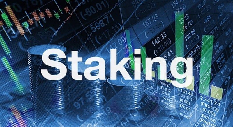 Hướng dẫn Staking Coin