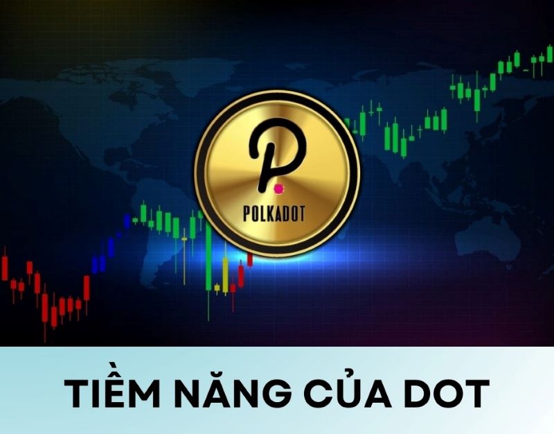 Tiềm năng của DOT