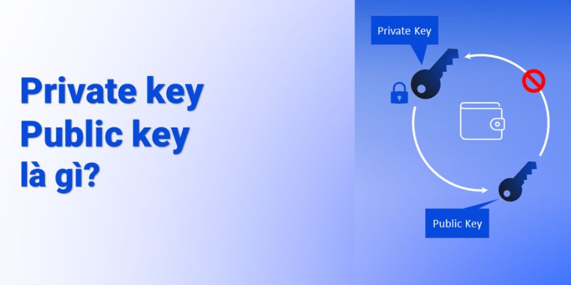 Khái niệm, Sự khác biệt giữa public key và private key